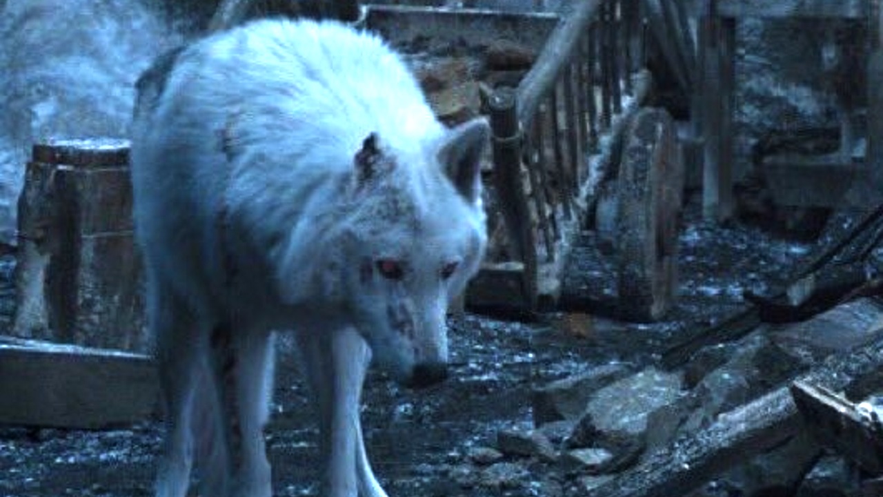 game of thrones kurtları ve akıbetleri