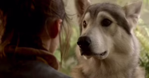 game-of-thrones-kurtları-nymeria
